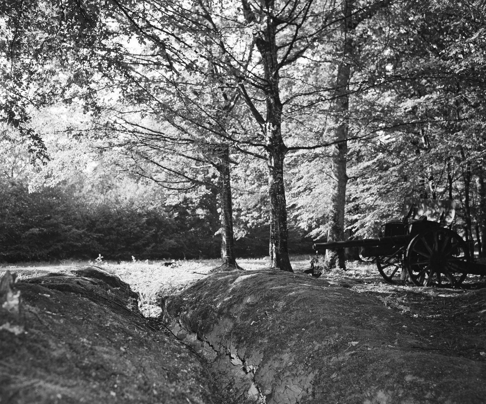 WWI France Belleau Wood